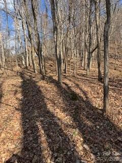 0 Mule Stomp Road Clyde, NC 28721 - Photo 13 of 16