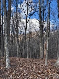 0 Mule Stomp Road Clyde, NC 28721 - Photo 15 of 16