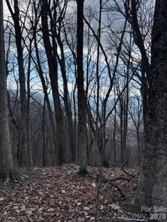 0 Mule Stomp Road Clyde, NC 28721 - Photo 16 of 16