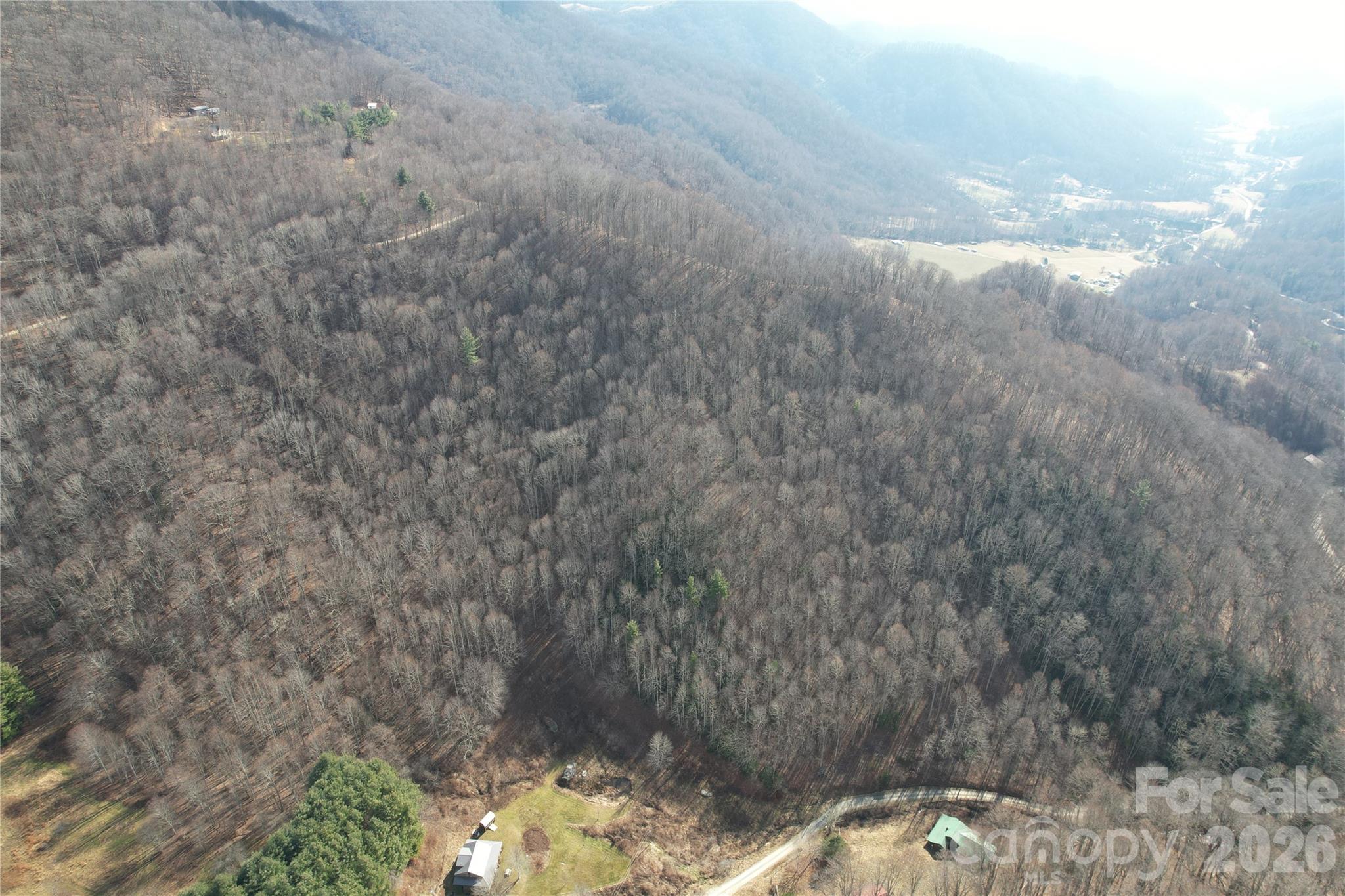 0 Mule Stomp Road Clyde, NC 28721 - Photo 2 of 16