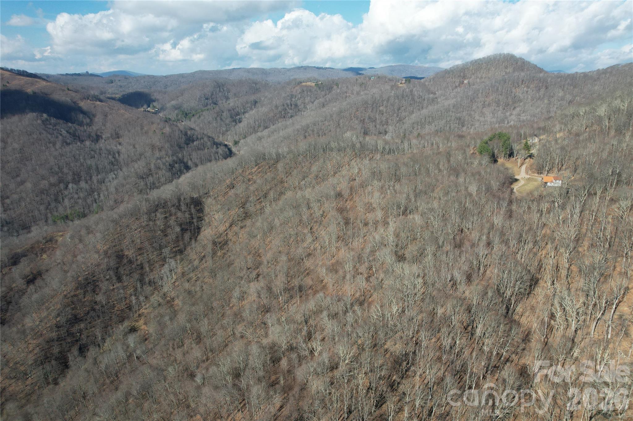0 Mule Stomp Road Clyde, NC 28721 - Photo 3 of 16