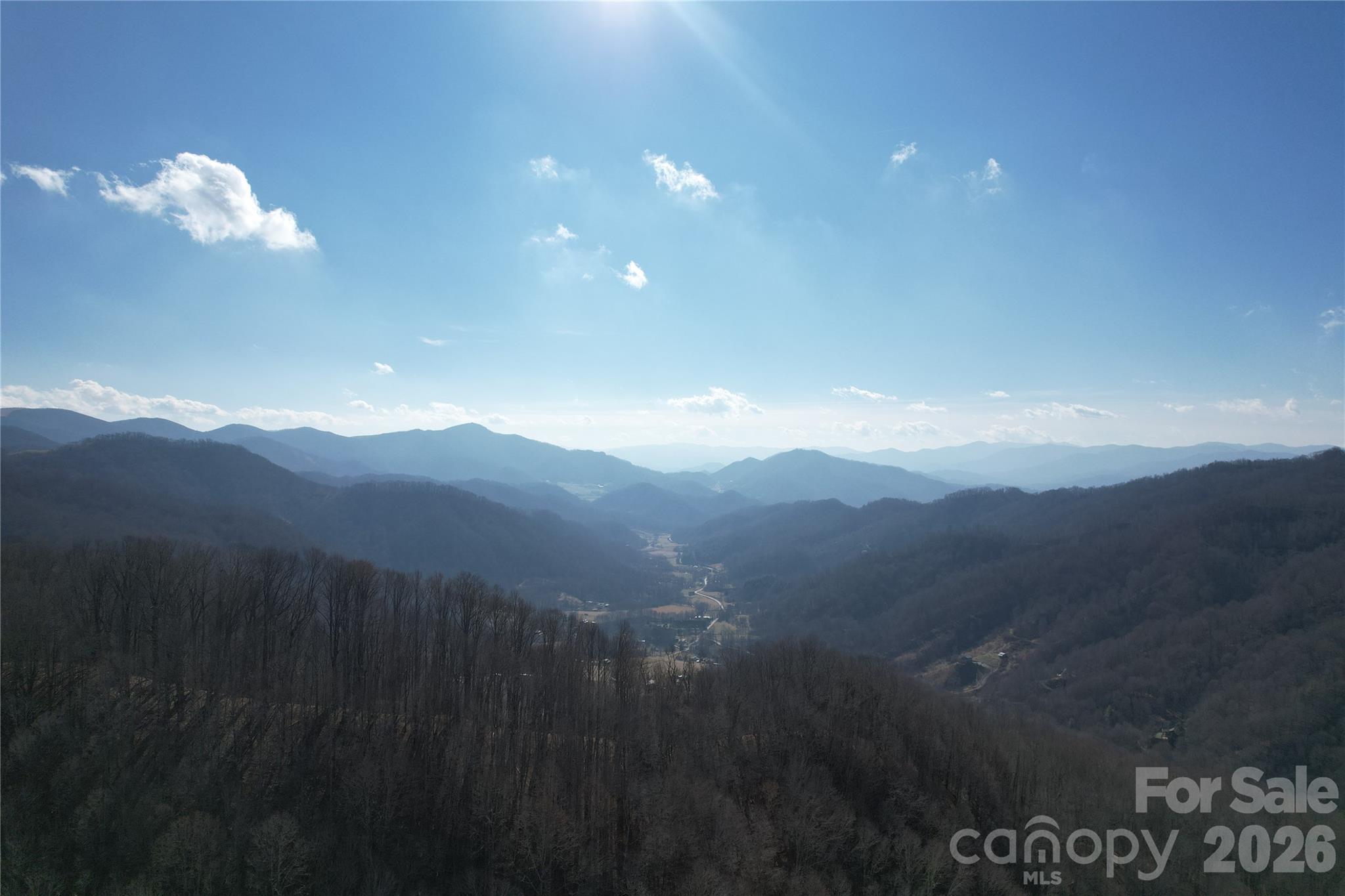 0 Mule Stomp Road Clyde, NC 28721 - Photo 4 of 16