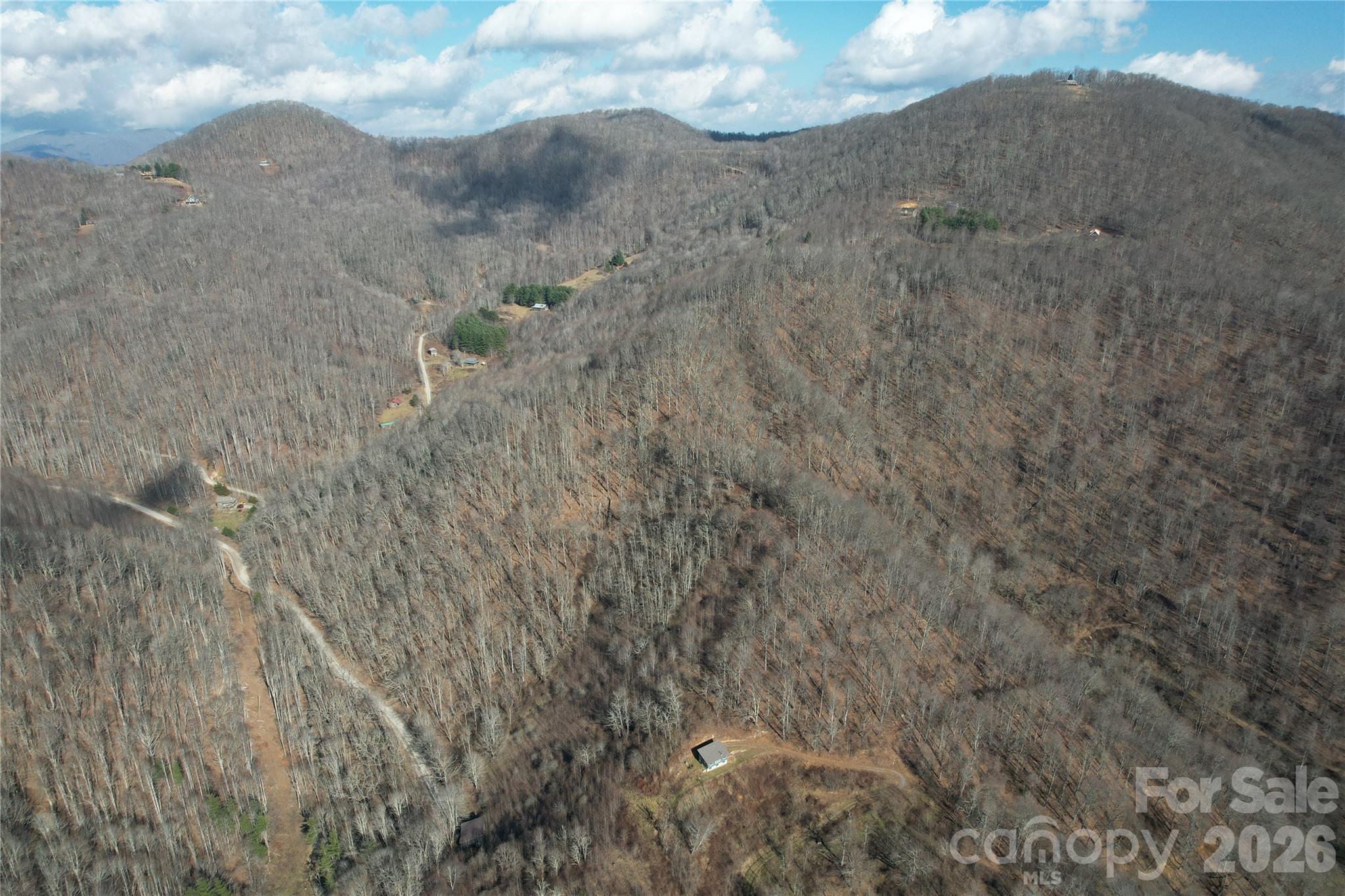 0 Mule Stomp Road Clyde, NC 28721 - Photo 5 of 16