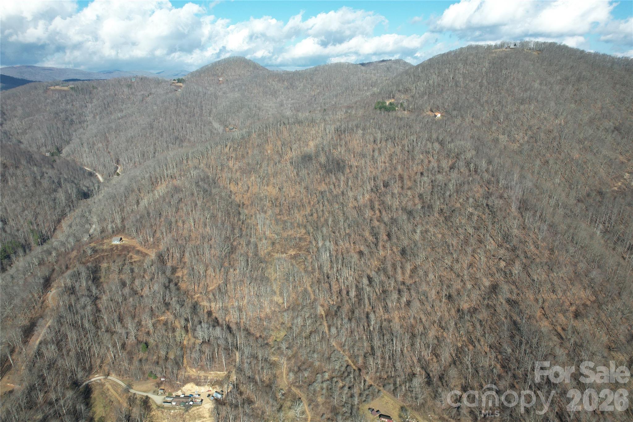 0 Mule Stomp Road Clyde, NC 28721 - Photo 7 of 16