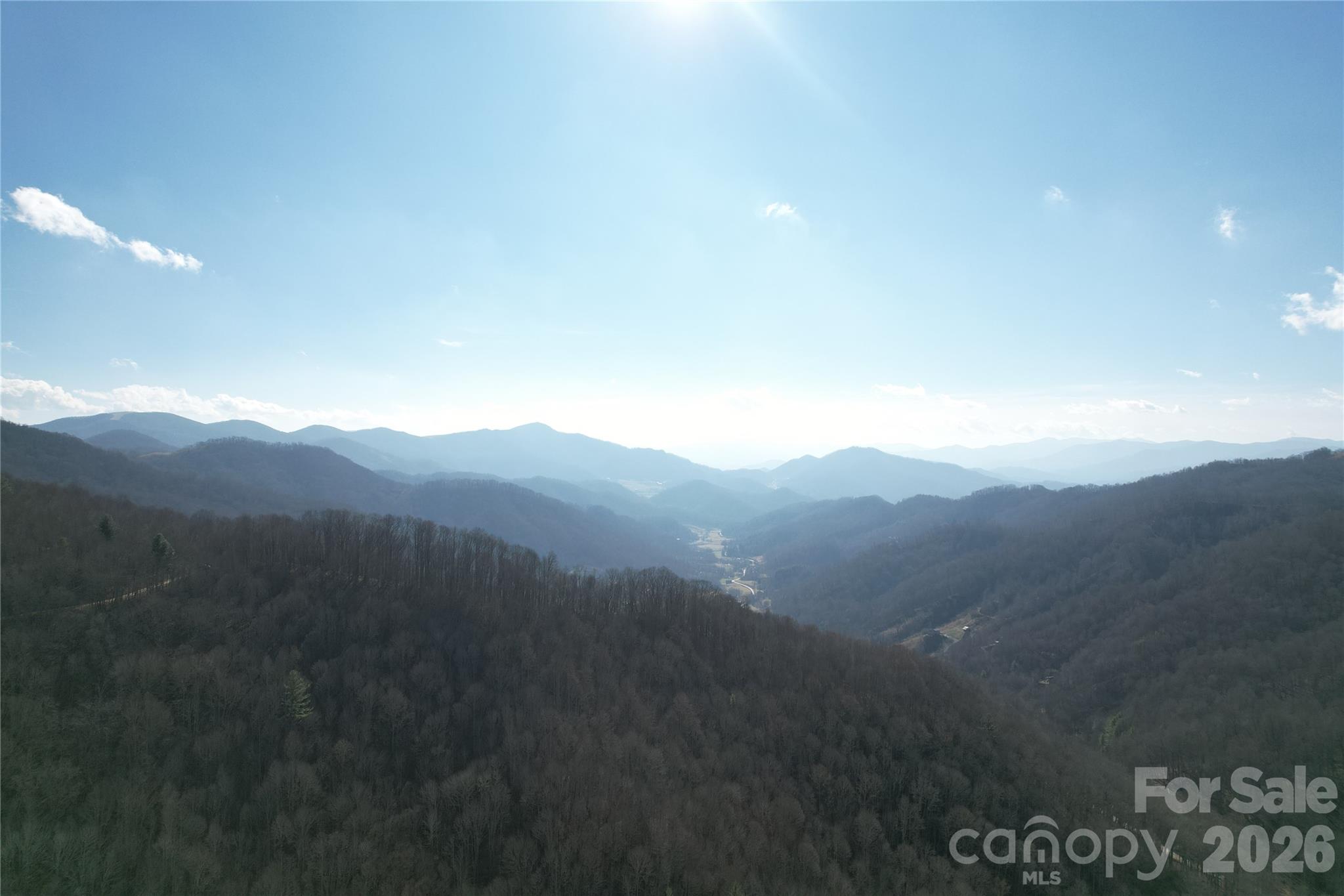 0 Mule Stomp Road Clyde, NC 28721 - Photo 8 of 16