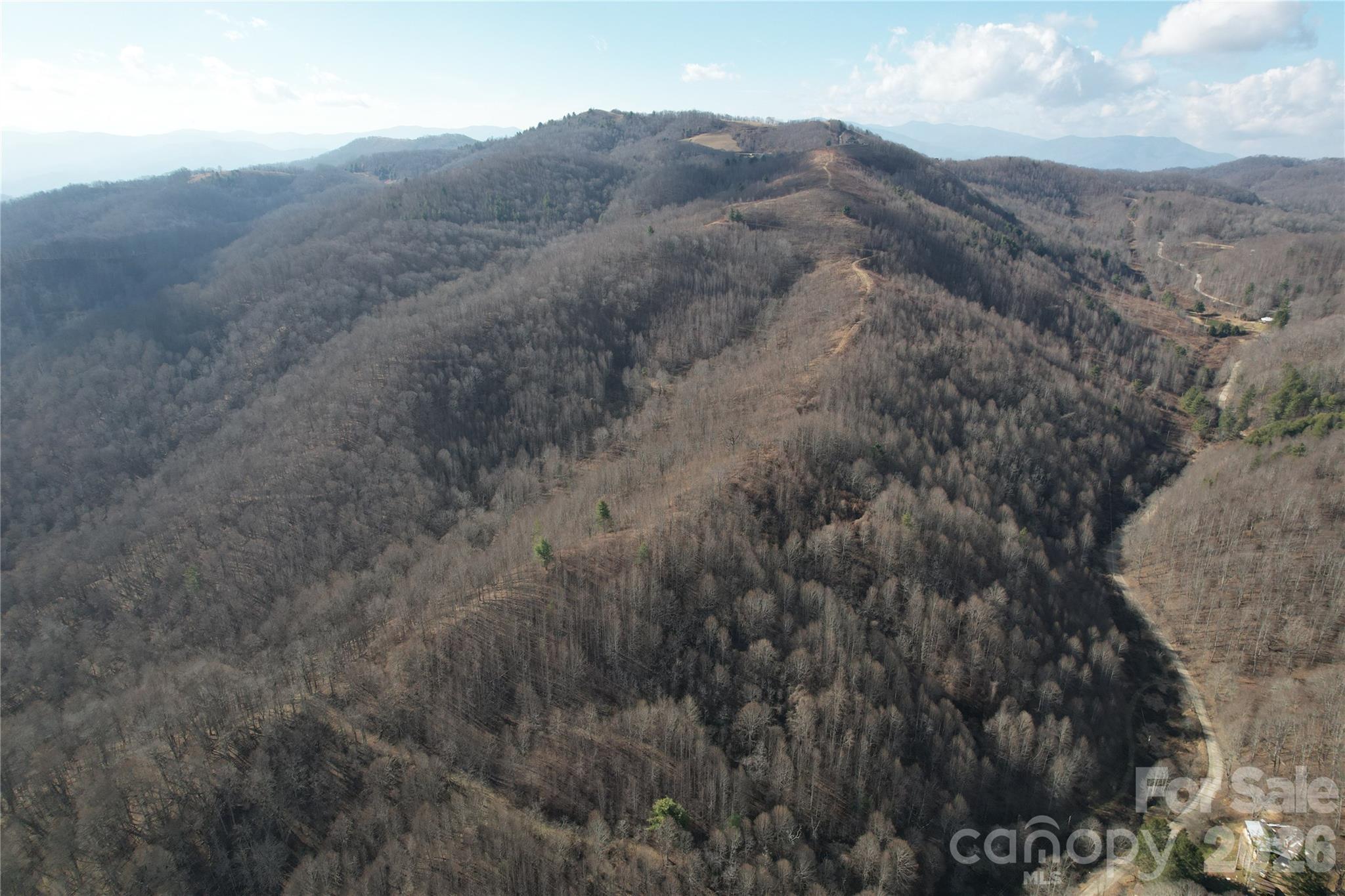 0 Mule Stomp Road Clyde, NC 28721 - Photo 9 of 16