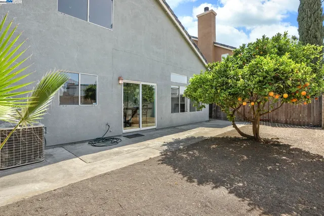 a view of a house with backyard and a tree