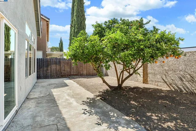 a view of a pathway with yard