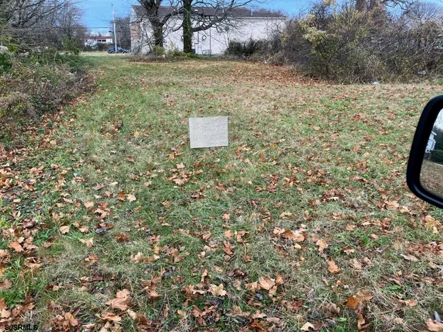 a view of a dry yard