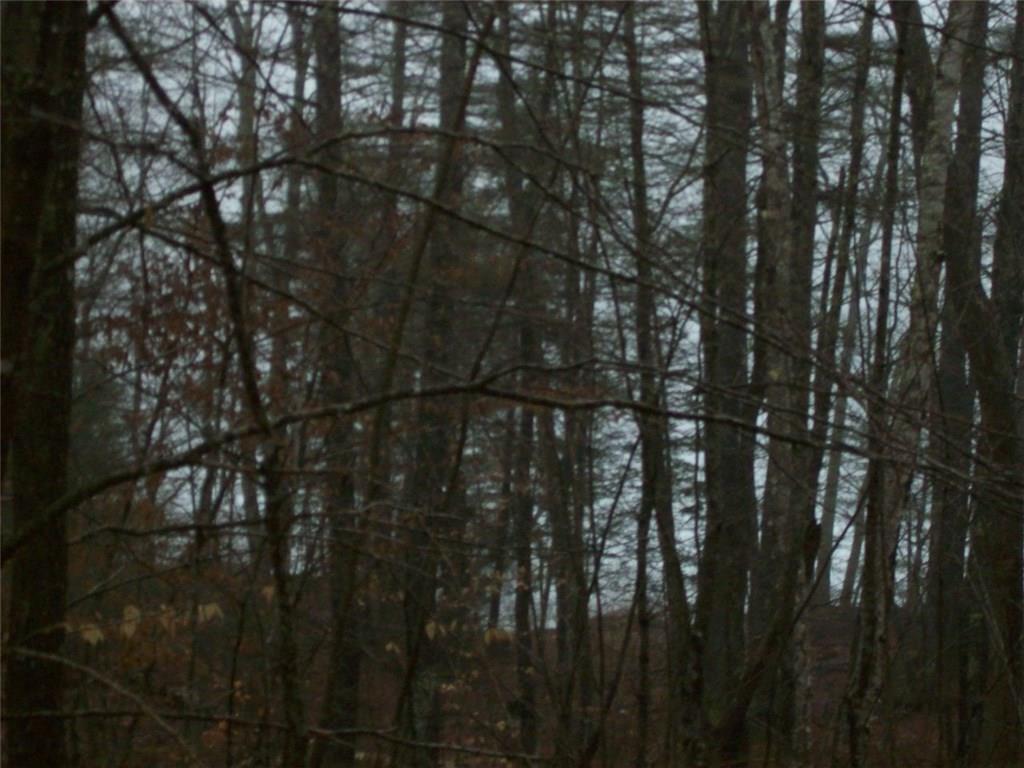 0 McGuire Road Jefferson, ME 04348 - Photo 12 of 13 Photo