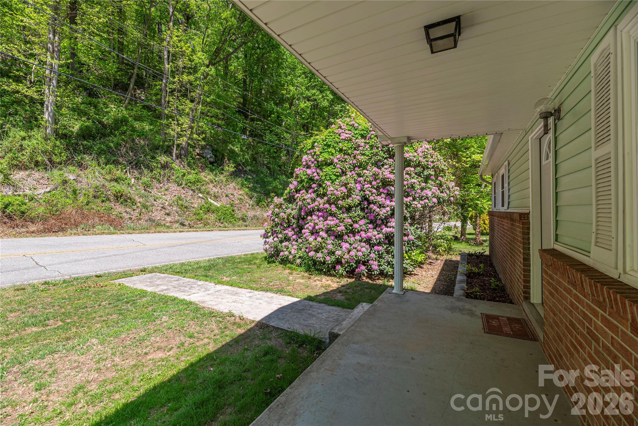 1140 Groundhog Road Canton, NC 28716 - Photo 3 of 23