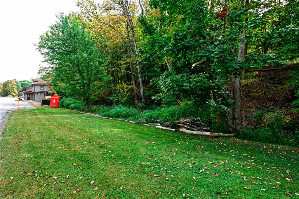 807 Dry Run Road Monongahela, PA 15063 - Photo 44 of 50 Unbelievable 475.5 Foot Frontage to allow for grassy area or future parking if desired