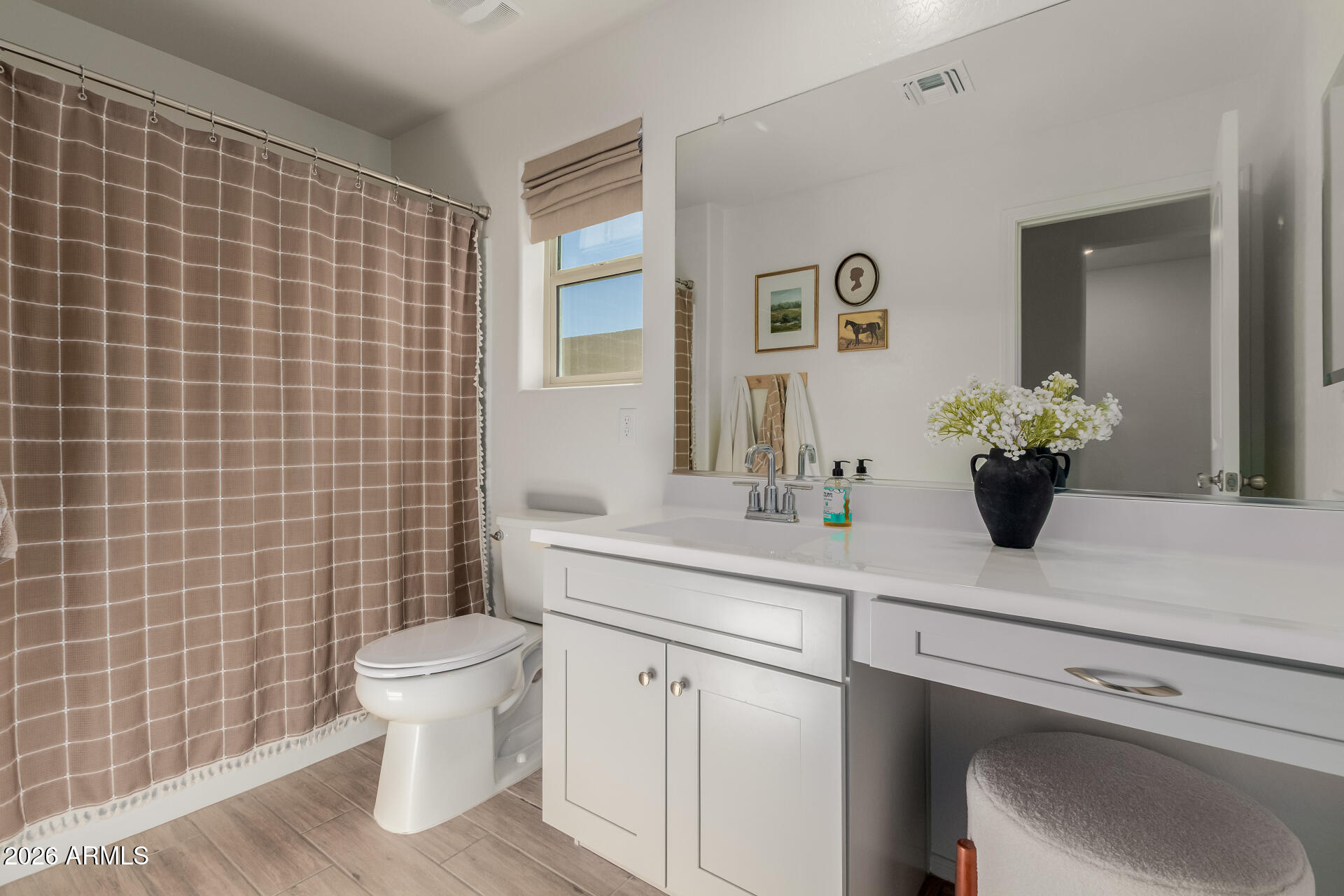 4702 South Riata Street Gilbert, AZ 85297 - Photo 23 of 31 a bathroom with a sink a toilet and a mirror