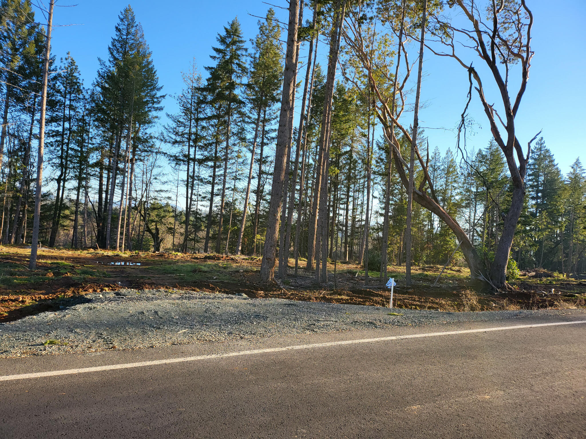 Lot 29 Ellison Loop Merlin, OR 97532 - Photo 6 of 25 20220124_154428