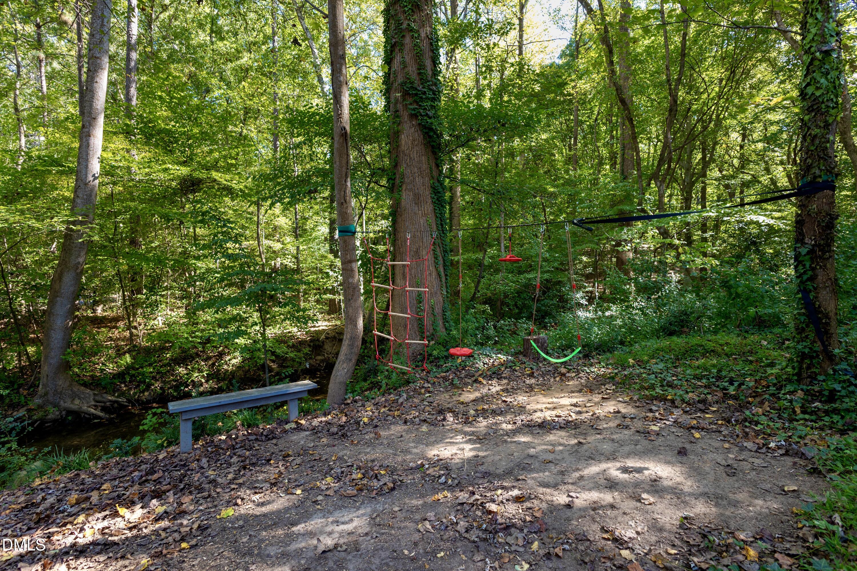 6125 Bellow Street Raleigh, NC 27609 - Photo 39 of 41 a view of a forest