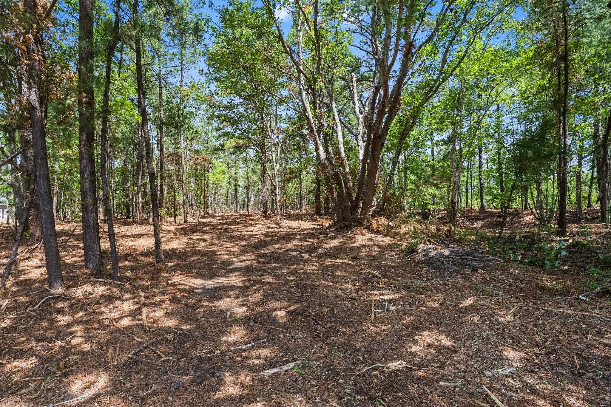 3600 Water Tower Road Longs, SC 29568 - Photo 25 of 55