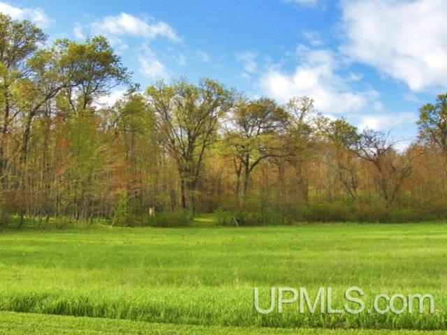 T-wi Bear View Lane Amberg, WI 54102 - Photo 1 of 8