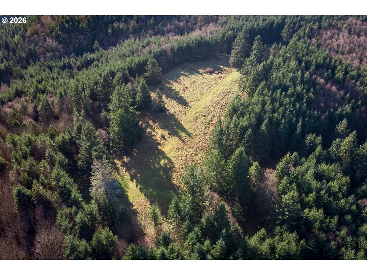 0 Bishop Creek Road Deer Island, OR 97054 - Photo 11 of 26 a view of a house with a yard