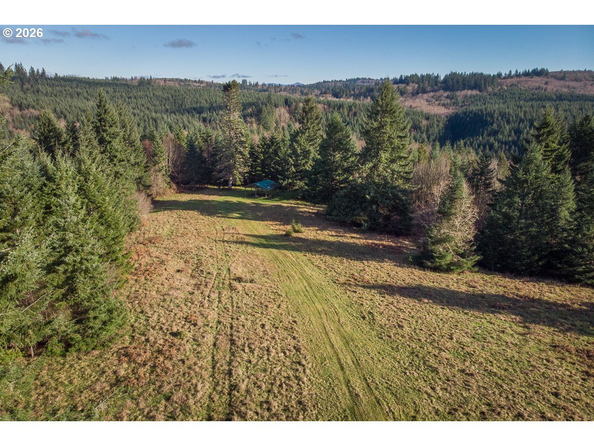 0 Bishop Creek Road Deer Island, OR 97054 - Photo 14 of 26 a view of a yard with an outdoor space