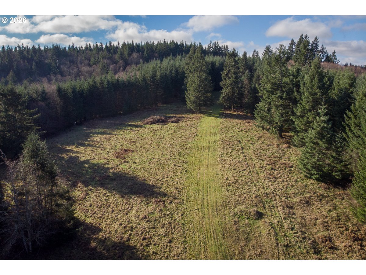 0 Bishop Creek Road Deer Island, OR 97054 - Photo 18 of 26 a view of outdoor space and mountain view