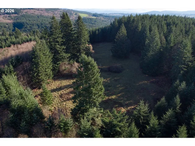 a view of a forest with a yard
