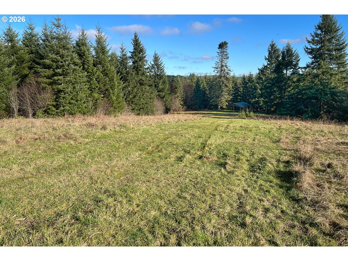 0 Bishop Creek Road Deer Island, OR 97054 - Photo 24 of 26 a view of a yard