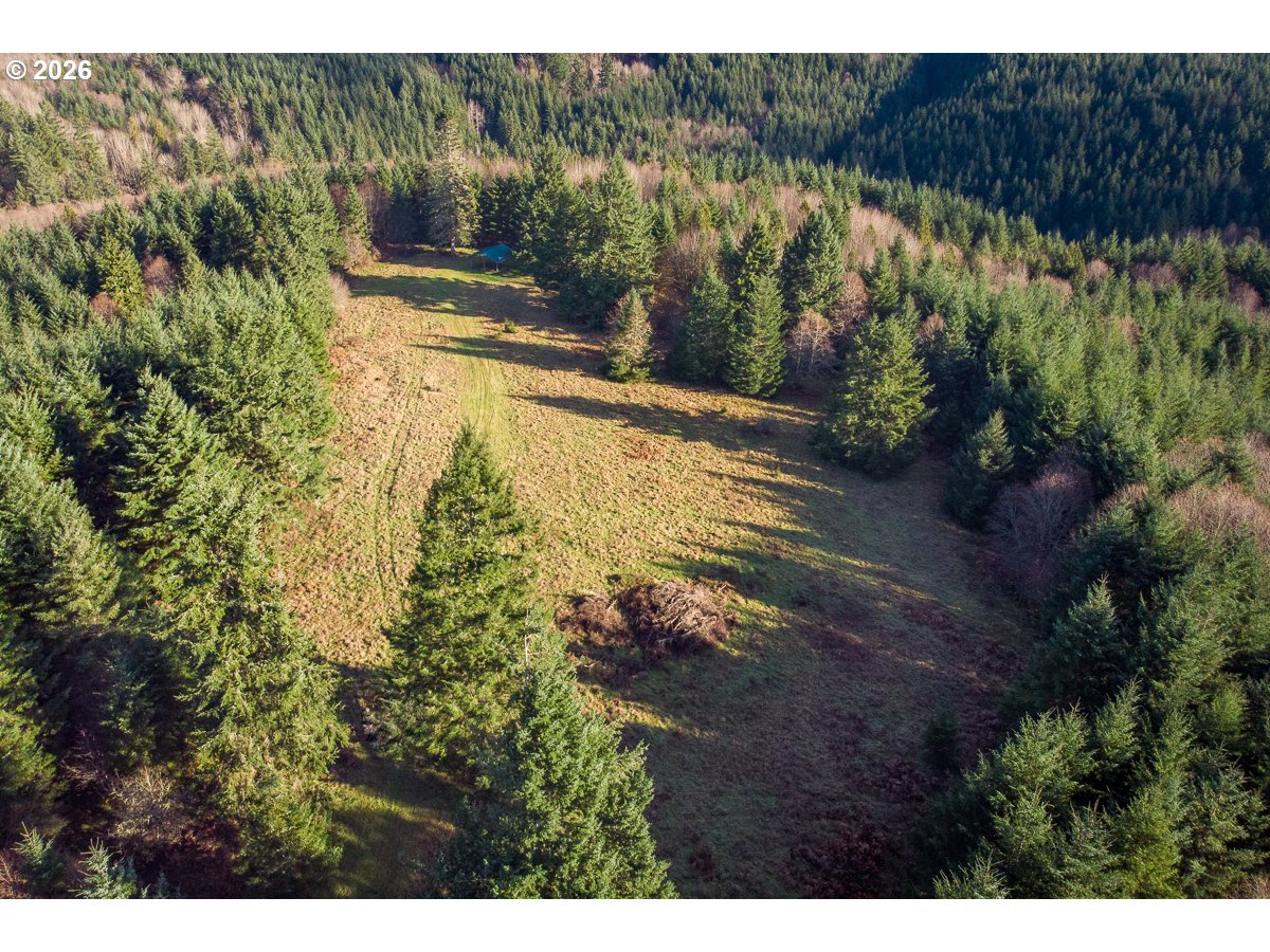 0 Bishop Creek Road Deer Island, OR 97054 - Photo 25 of 26 a view of a yard with plants and large trees