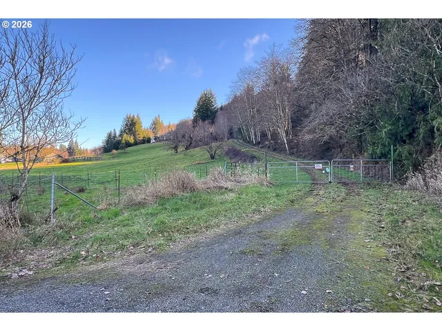 a backyard of a house with lots of green space