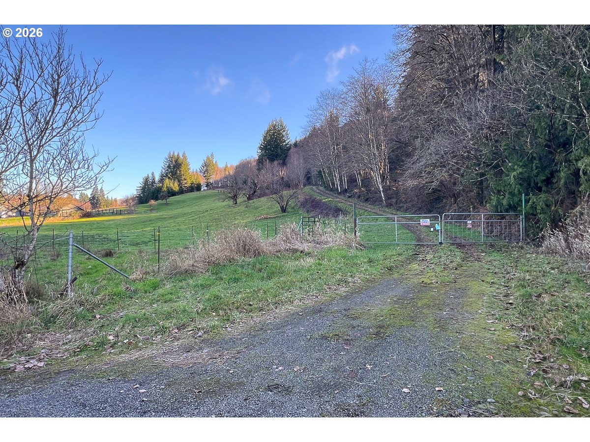 0 Bishop Creek Road Deer Island, OR 97054 - Photo 3 of 26 a backyard of a house with lots of green space