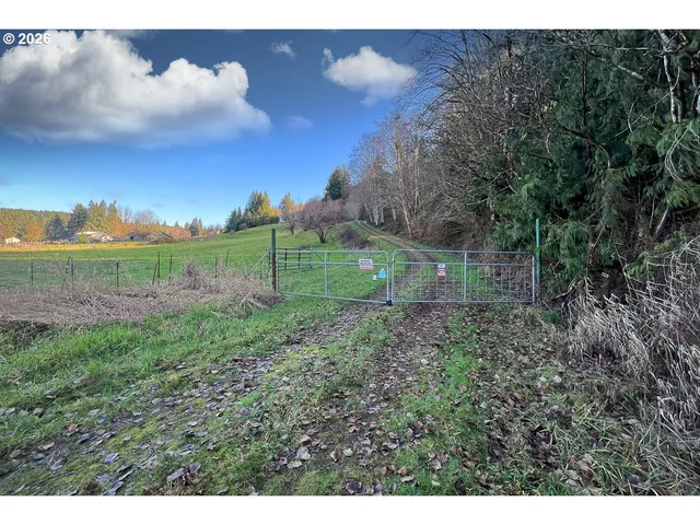 a view of outdoor space and yard