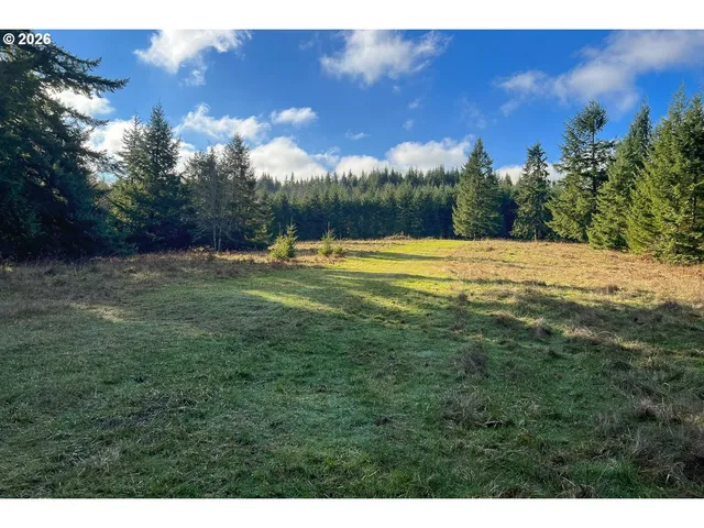a view of a lake with a houses