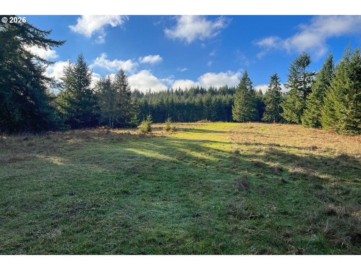 0 Bishop Creek Road Deer Island, OR 97054 - Photo 8 of 26 a view of a lake with a houses