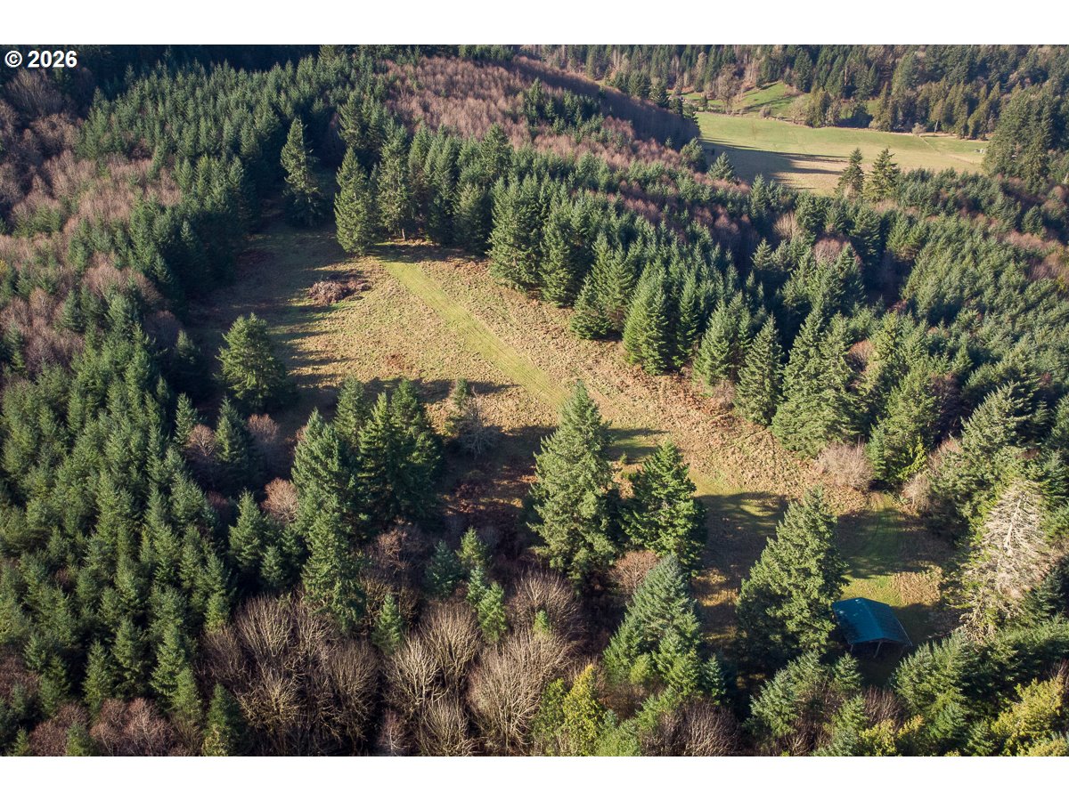0 Bishop Creek Road Deer Island, OR 97054 - Photo 9 of 26 a view of a tree with a yard