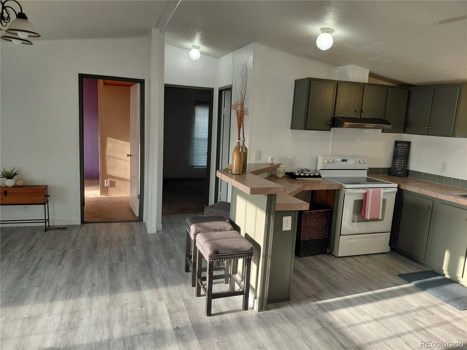 2940 Hawk Street Denver, CO 80260 - Photo 6 of 35 Gallery Image 6