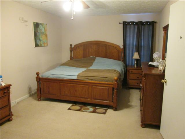 308 Jake Link Road Cottontown, TN 37048 - Photo 12 of 17