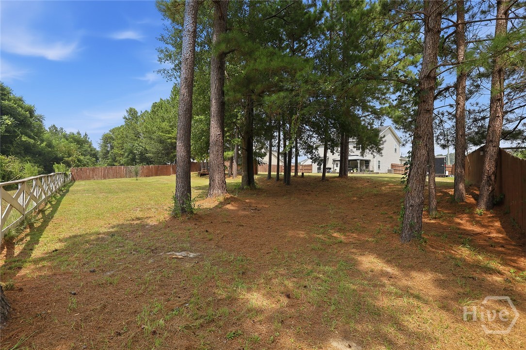 225 Frank Edwards Road Ellabell, GA 31308 - Photo 49 of 52 Gallery Image 49