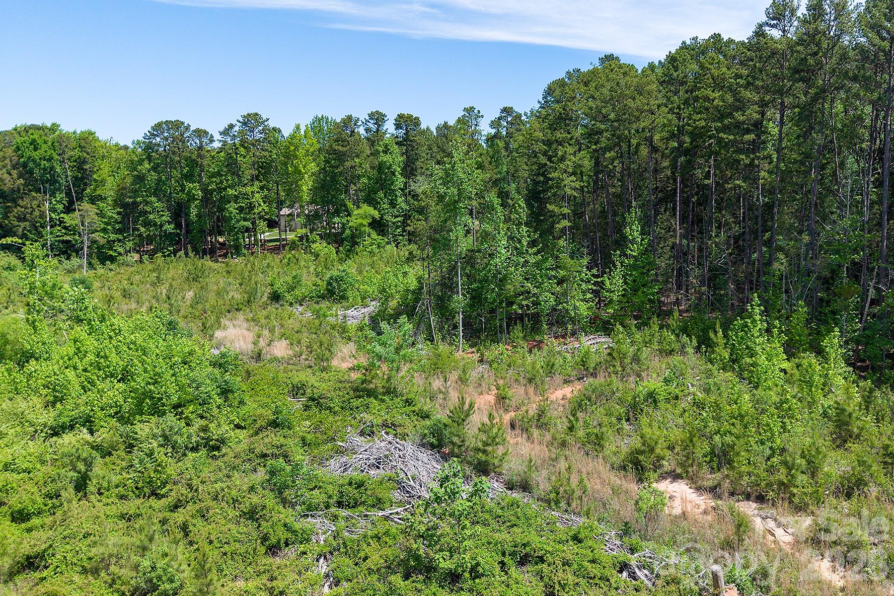 13745 Ramah Church Road Huntersville, NC 28078 - Photo 13 of 17 a view of a lush green forest