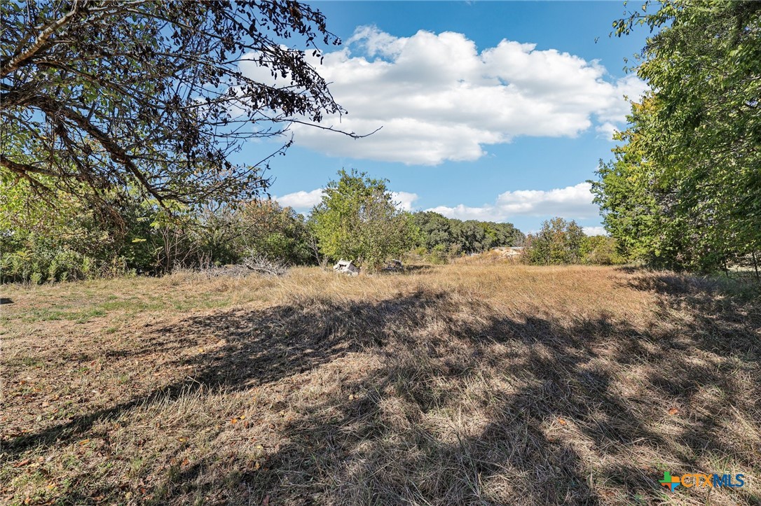 24007 Windy Valley Road Leander, TX 78641 - Photo 23 of 24 a view of a dry yard with trees