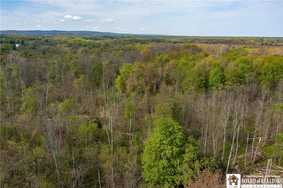 5208 West Main Road Pomfret, NY 14063 - Photo 12 of 15