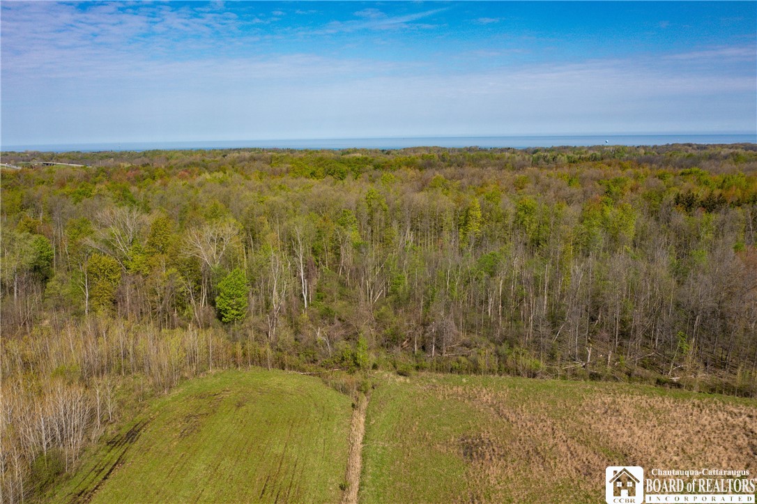 5208 West Main Road Pomfret, NY 14063 - Photo 2 of 15