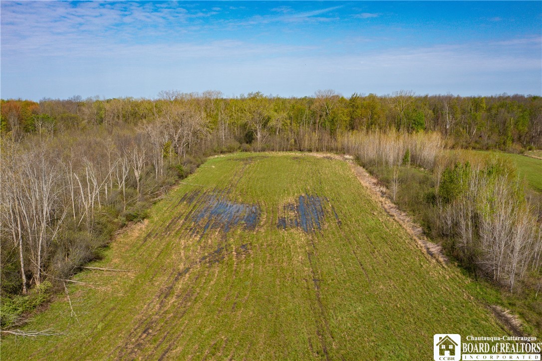 5208 West Main Road Pomfret, NY 14063 - Photo 3 of 15