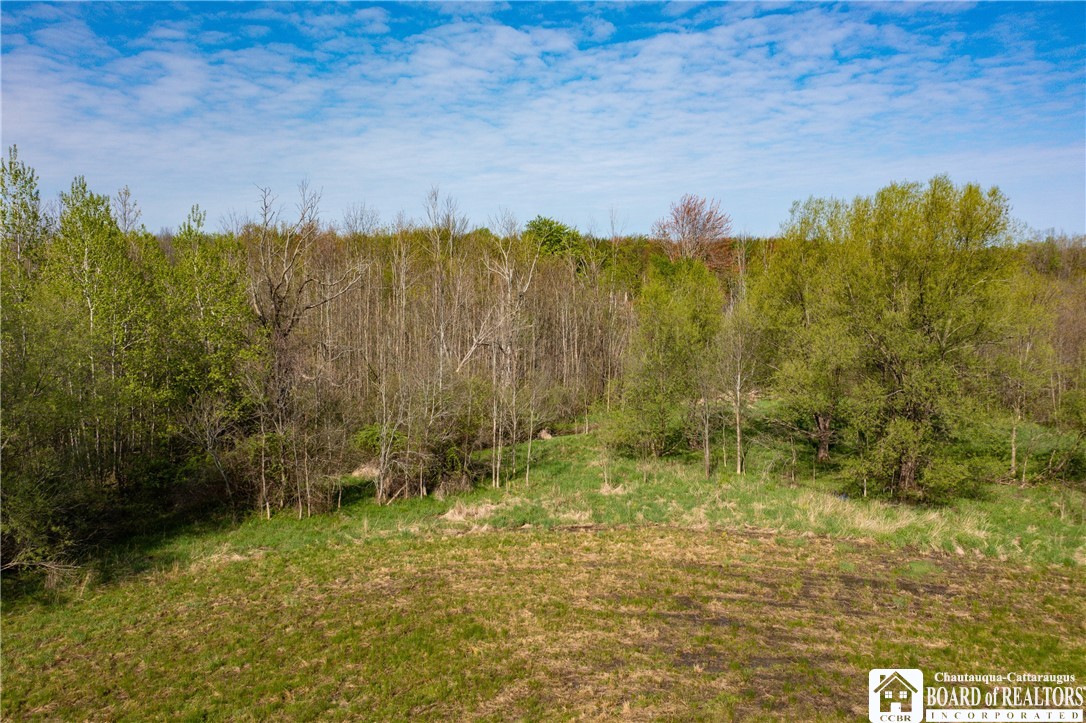 5208 West Main Road Pomfret, NY 14063 - Photo 4 of 15