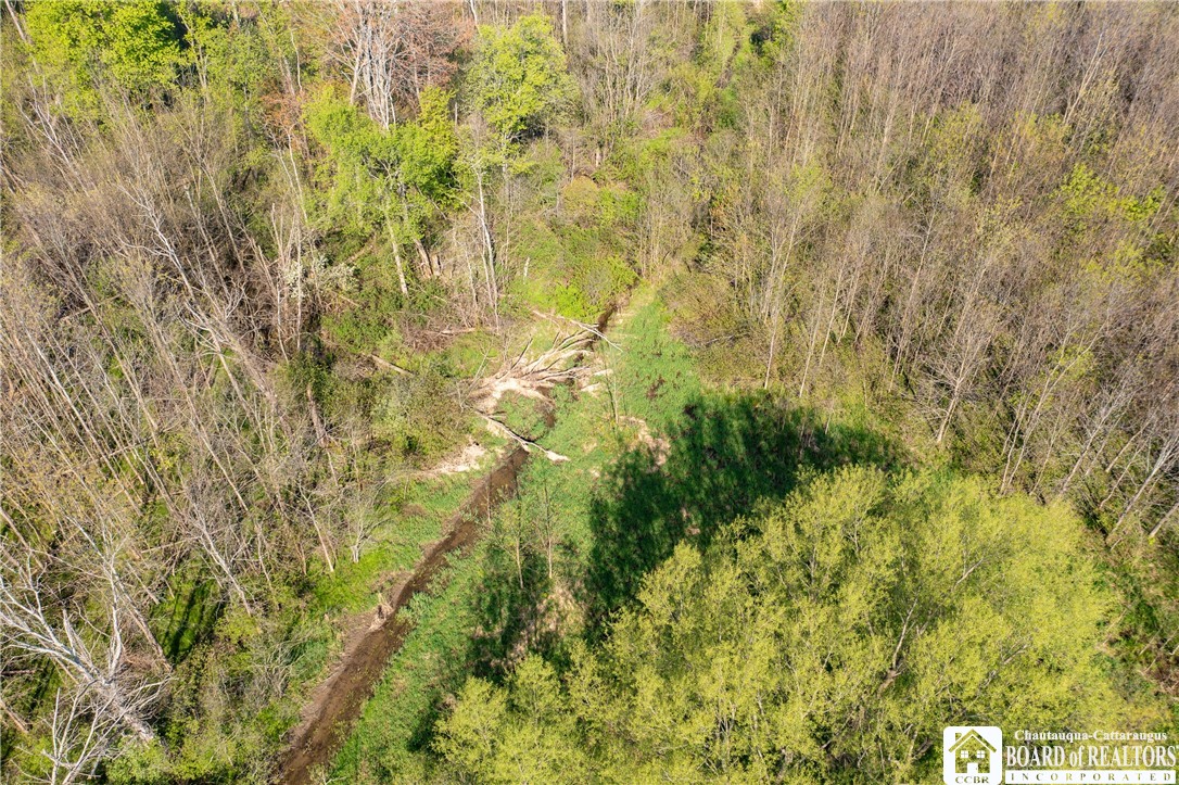 5208 West Main Road Pomfret, NY 14063 - Photo 6 of 15