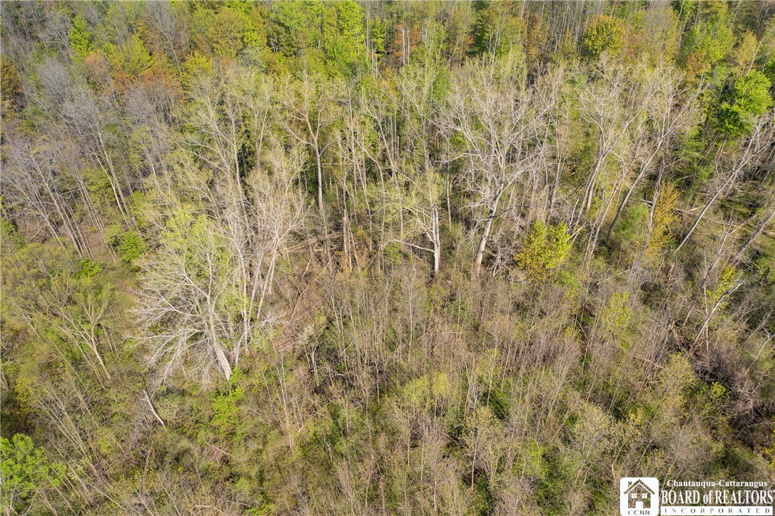 5208 West Main Road Pomfret, NY 14063 - Photo 9 of 15