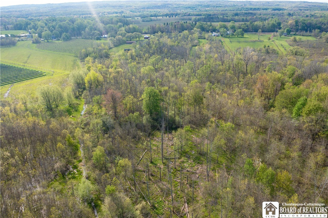 5208 West Main Road Pomfret, NY 14063 - Photo 10 of 15