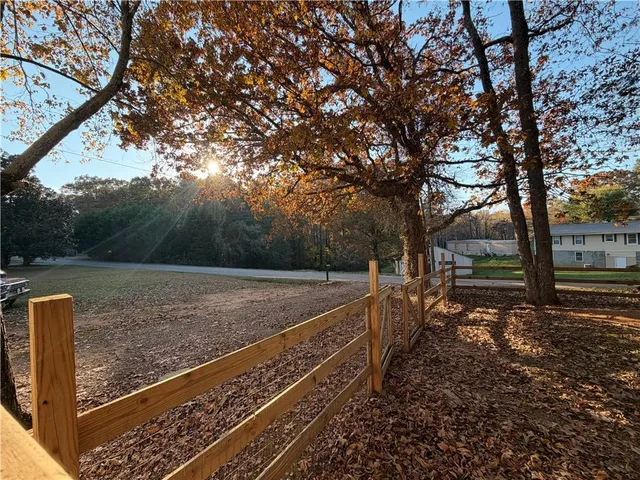 a view of a forest with trees