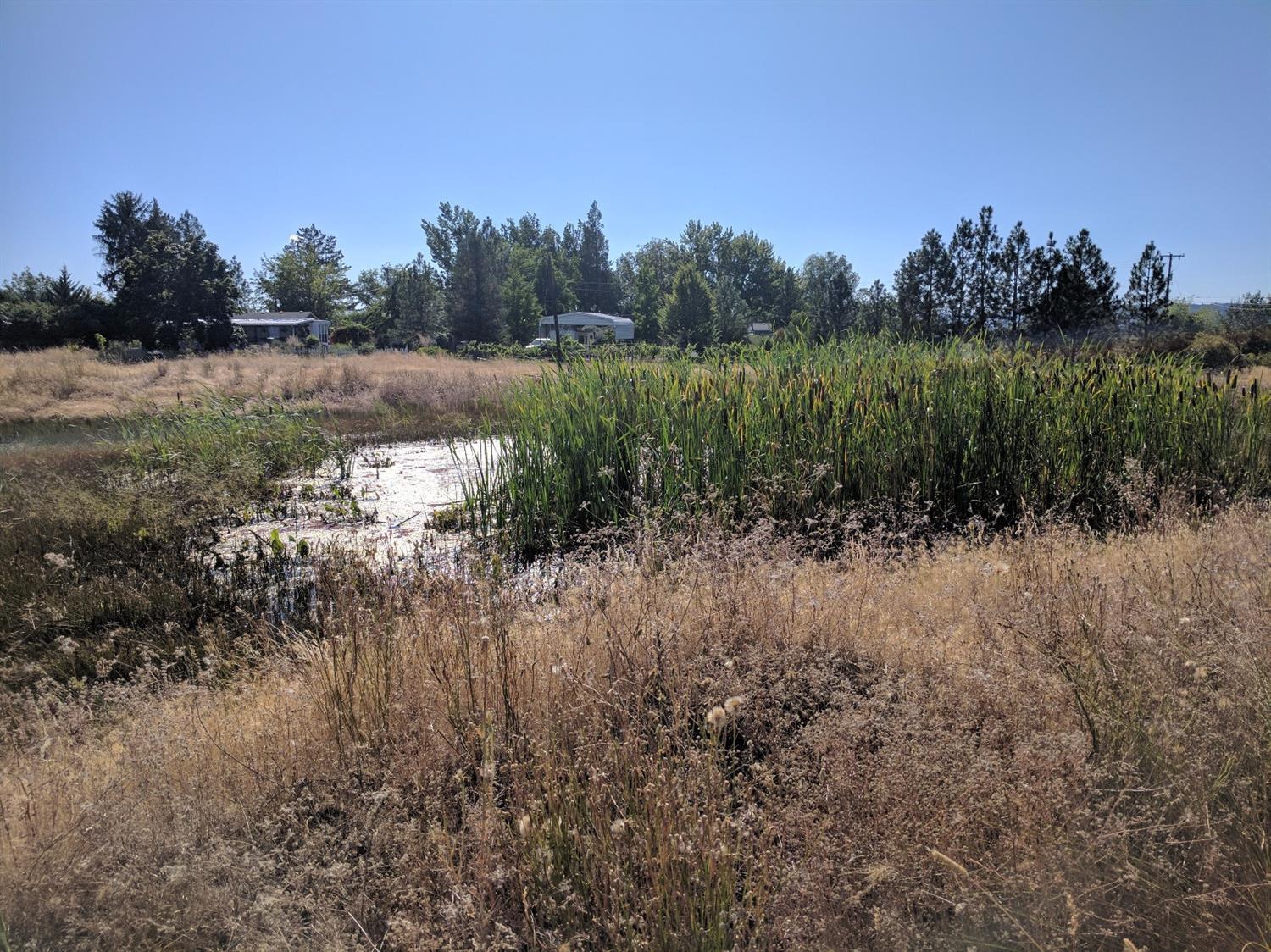 600 East Dutton Road Eagle Point, OR 97524 - Photo 1 of 5 Primary Photo