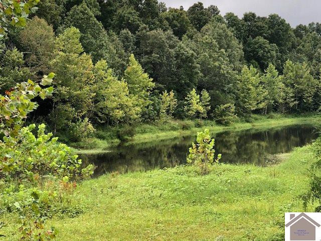 0 Lakewood Road Princeton, KY 42445 - Photo 1 of 1 Photo 1