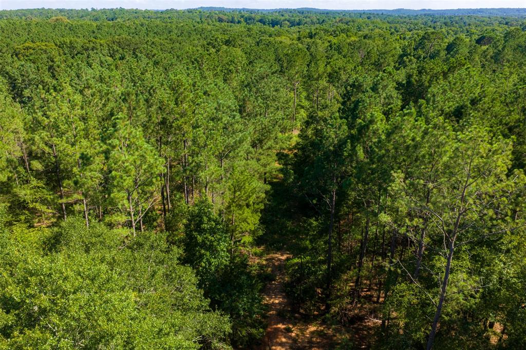 0 County Road 1310 Rusk, TX 75785 - Photo 17 of 37 Gallery Image 17