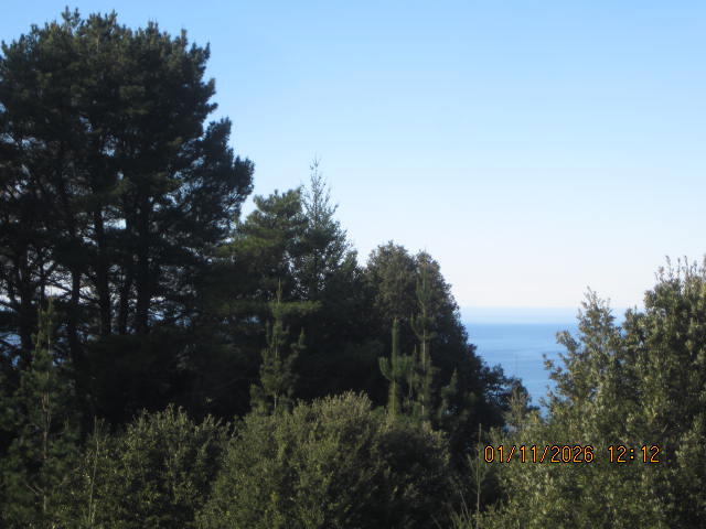2715 Toth Road Shelter Cove, CA 95589 - Photo 11 of 27 IMG_0760